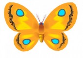 imagenes-mariposas-g